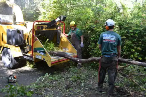 tree services Fort Riley